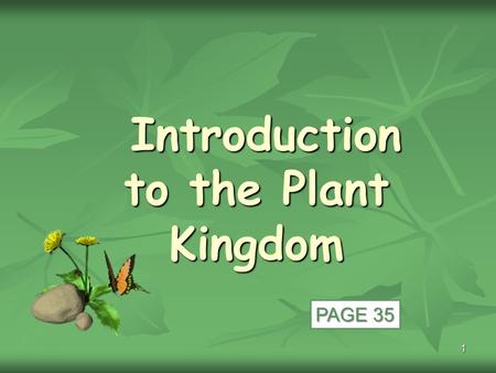 1 Introduction to the Plant Kingdom Introduction to the Plant Kingdom PAGE 35.
