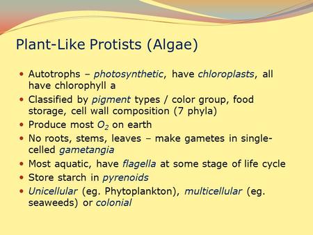 Plant-Like Protists (Algae) Autotrophs – photosynthetic, have chloroplasts, all have chlorophyll a Classified by pigment types / color group, food storage,
