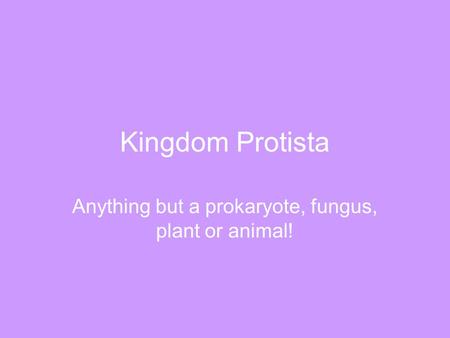 Kingdom Protista Anything but a prokaryote, fungus, plant or animal!