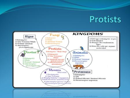 Characteristics of all Protists Eukaryotkes: no distinct nucleus. Reproduce: asexually via mitosis unless stressed. Range: unicellular to multicellular.
