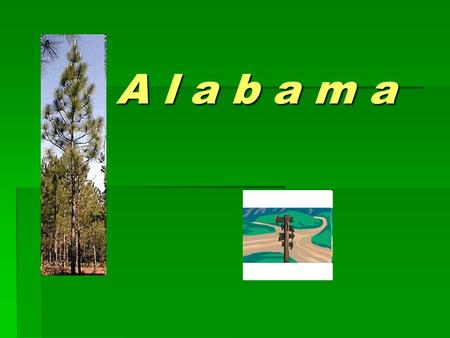 A l a b a m a A l a b a m a. State of Alabama  Official Symbols and Emblems of Alabama  Coat of Arms The coat of arms consists of a shield, on which.