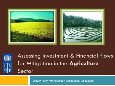 Assessing Investment & Financial flows for Mitigation in the Agriculture Sector UNDP I&FF Methodology Guidebook: Mitigation.