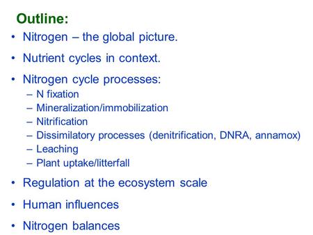Outline: Nitrogen – the global picture. Nutrient cycles in context. Nitrogen cycle processes: –N fixation –Mineralization/immobilization –Nitrification.