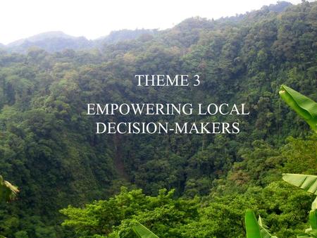 THEME 3 EMPOWERING LOCAL DECISION-MAKERS. Project Title: ICB for the Protected Area Management Board and PAMB Secretariat of Argao River Watershed Forest.