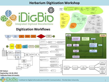 Herbarium Digitization Workshop Institute for Digital Information & Scientific Communication – Florida State University 1 Digitization Workflows Gil Nelson.