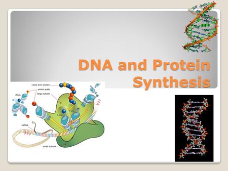 DNA and Protein Synthesis. DNA Does 2 Important Things in a Cell: 1)DNA is capable of replicating itself. Every time a cell divides, each DNA strand makes.
