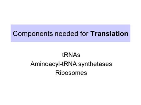 Components needed for Translation tRNAs Aminoacyl-tRNA synthetases Ribosomes.