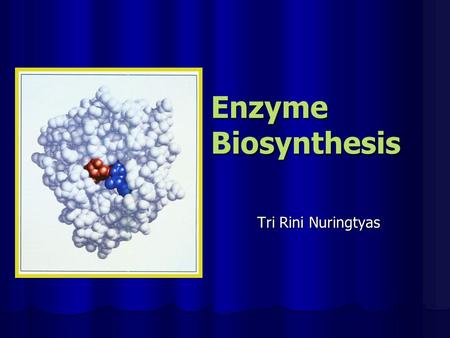 Enzyme Biosynthesis Tri Rini Nuringtyas. As we remember ! Most enzymes are proteins so As we remember ! Most enzymes are proteins so Mechanism of enzyme.