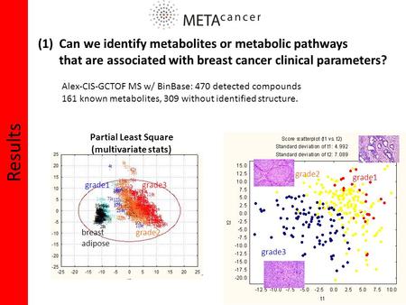 Results grade1 grade2 grade3 (1) Can we identify metabolites or metabolic pathways that are associated with breast cancer clinical parameters? Alex-CIS-GCTOF.