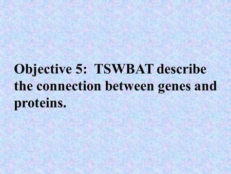 Objective 5: TSWBAT describe the connection between genes and proteins.