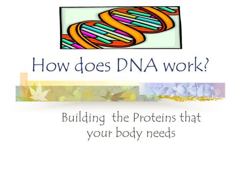 How does DNA work? Building the Proteins that your body needs.