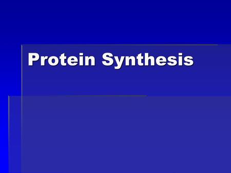 Protein Synthesis. DNA Review  The nucleotide bases will point to the inside of the DNA molecule while the outside (backbone) of the DNA molecule will.