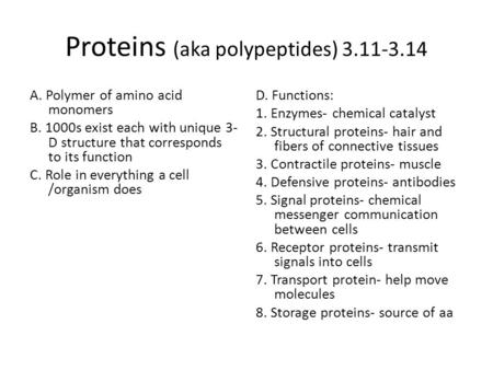Proteins (aka polypeptides)