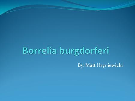 Borrelia burgdorferi By: Matt Hryniewicki.