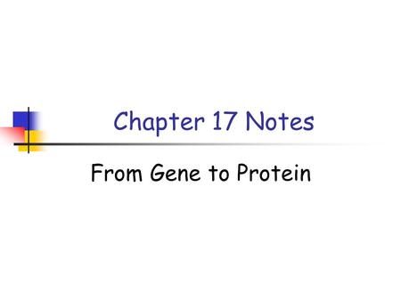Chapter 17 Notes From Gene to Protein.