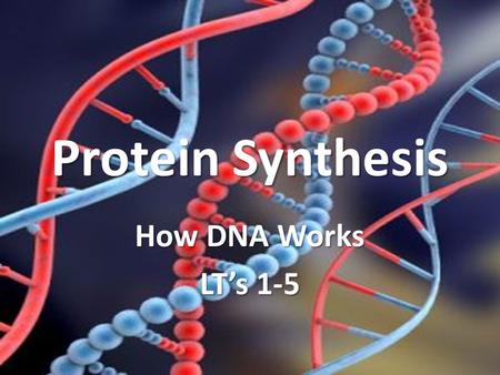 Protein Synthesis How DNA Works LT’s 1-5. What DNA Is Recall that DNA is… long stringy molecule nucleus A long stringy molecule located in the nucleus.