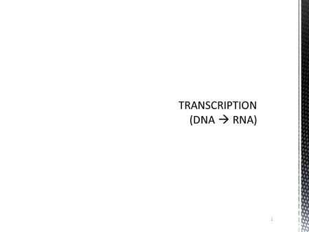 TRANSCRIPTION (DNA  RNA)