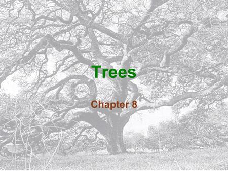 Trees Chapter 8.
