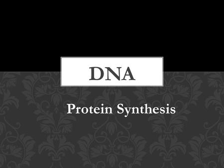 Protein Synthesis. DNA RNA Proteins (Transcription) (Translation) DNA (genetic information stored in genes) RNA (working copies of genes) Proteins (functional.