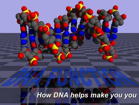 How DNA helps make you you. DNA Function Your development and survival depend on… Your development and survival depend on…  which proteins your cells.