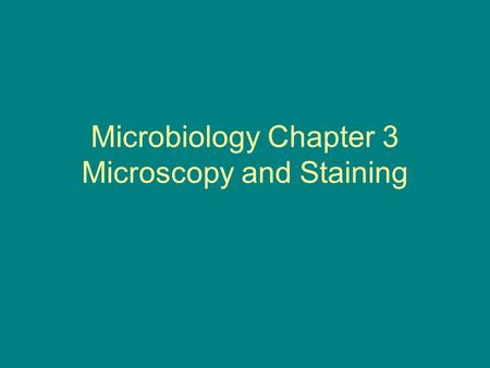 Microbiology Chapter 3 Microscopy and Staining. What’s on a Pinpoint? How many bacteria? How many are needed to start an infection? Sometimes as few as.