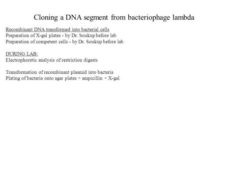 Cloning a DNA segment from bacteriophage lambda Recombinant DNA transformed into bacterial cells Preparation of X-gal plates - by Dr. Soukup before lab.