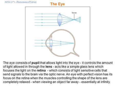 ISNS 3371 - Phenomena of Nature The Eye The eye consists of pupil that allows light into the eye - it controls the amount of light allowed in through the.