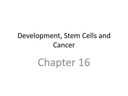 Development, Stem Cells and Cancer
