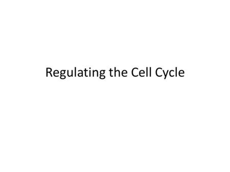 Regulating the Cell Cycle. Some cells divide every few hours (skin and digestive tract cells) Some cells never divide (muscle and nerve cells)