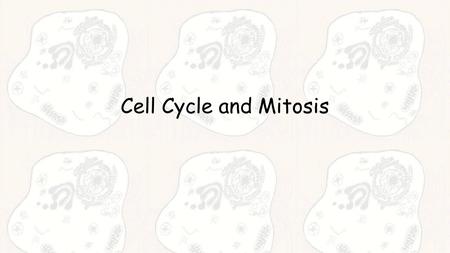 Cell Cycle and Mitosis Cell Cycle  Stages in growth & division  G1 Phase  S Phase  G2 Phase  M Phase  Cytokinesis copyright cmassengale.