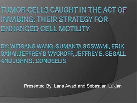 Presented By: Lana Awad and Sebastian Lukjan. Motivation of research, why they did what they did…  Understand steps that cancer cells take to spread.