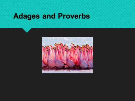 Adages and Proverbs.