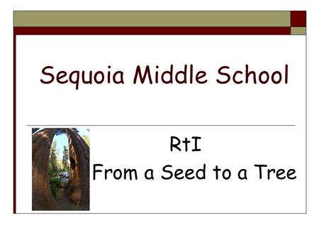 Sequoia Middle School RtI From a Seed to a Tree. I. Preparing the Soil II. Planting the Seed III. Cultivation IV. The Tree’s Branches V. Questions Agenda.
