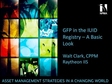 GFP in the IUID Registry – A Basic Look Walt Clark, CPPM Raytheon IIS.