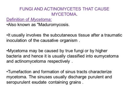 FUNGI AND ACTINOMYCETES THAT CAUSE MYCETOMA.