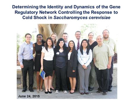 Determining the Identity and Dynamics of the Gene Regulatory Network Controlling the Response to Cold Shock in Saccharomyces cerevisiae June 24, 2015.