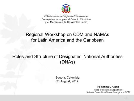 | Regional Workshop on CDM and NAMAs for Latin America and the Caribbean Roles and Structure of Designated National Authorities (DNAs) Bogota, Colombia.