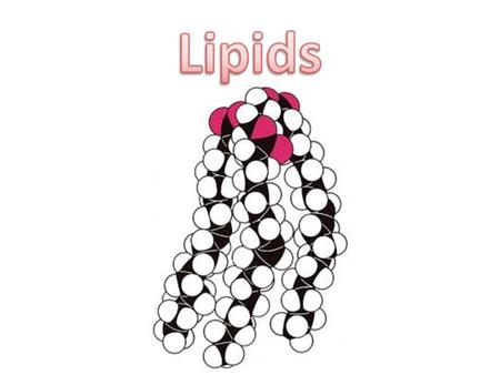 Lipids.