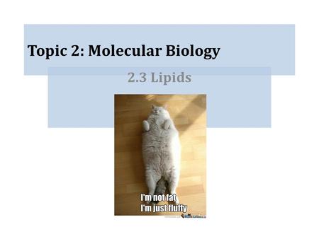 Topic 2: Molecular Biology