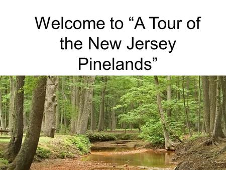 Welcome to “A Tour of the New Jersey Pinelands”. Bog Asphopdel Within the Pinelands, populations have suffered, historically, from the creation cranberry.