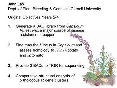 Dept. of Plant Breeding & Genetics, Cornell University