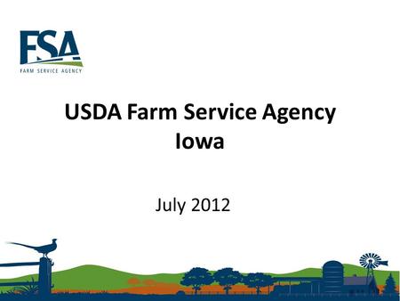 USDA Farm Service Agency Iowa July 2012. Iowa Farm Service Agency Local County Offices/Service Centers County Committee Both Farm Programs and Farm Loans.