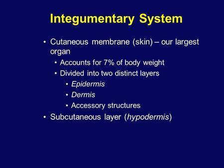Integumentary System Cutaneous membrane (skin) – our largest organ Accounts for 7% of body weight Divided into two distinct layers Epidermis Dermis Accessory.