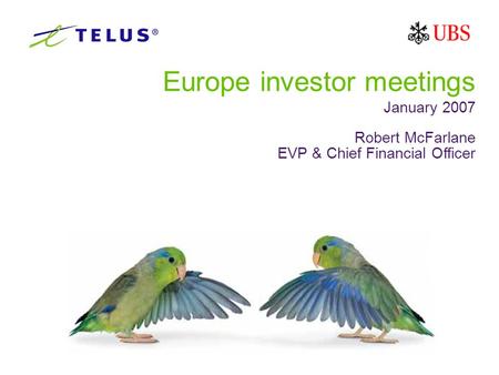 Europe investor meetings January 2007 Robert McFarlane EVP & Chief Financial Officer.