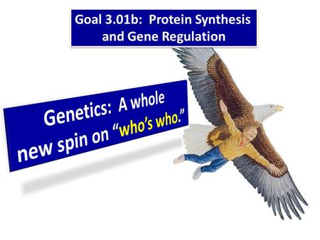 Goal 3.01b: Protein Synthesis and Gene Regulation.
