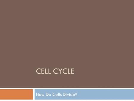 Cell cycle How Do Cells Divide?.