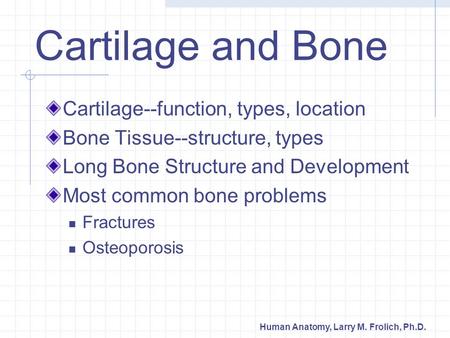 Human Anatomy, Larry M. Frolich, Ph.D. Cartilage--function, types, location Bone Tissue--structure, types Long Bone Structure and Development Most common.