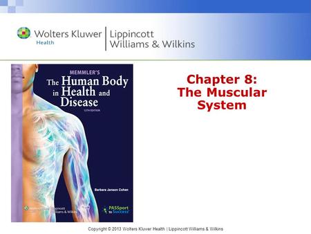 Chapter 8: The Muscular System