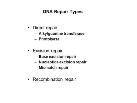 DNA Repair Types Direct repair Excision repair Recombination repair