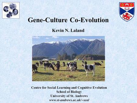 Gene-Culture Co-Evolution Kevin N. Laland Centre for Social Learning and Cognitive Evolution School of Biology University of St. Andrews www.st-andrews.ac.uk/~seal.
